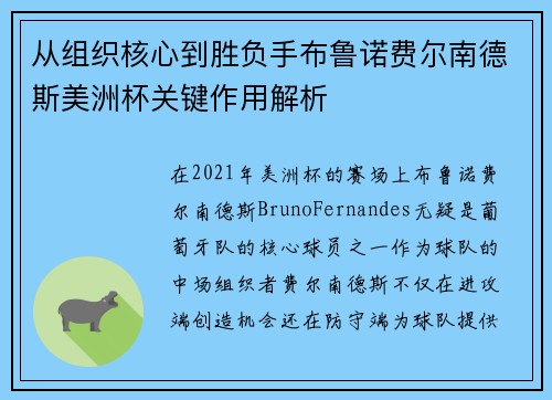 从组织核心到胜负手布鲁诺费尔南德斯美洲杯关键作用解析