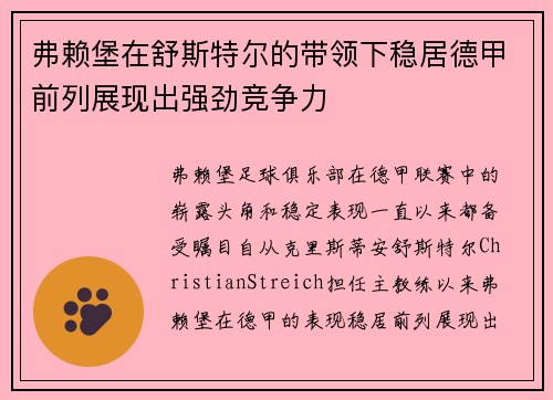 弗赖堡在舒斯特尔的带领下稳居德甲前列展现出强劲竞争力